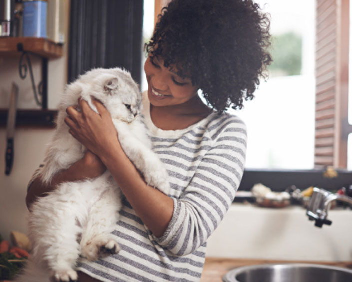 FetchMyVet Learn More