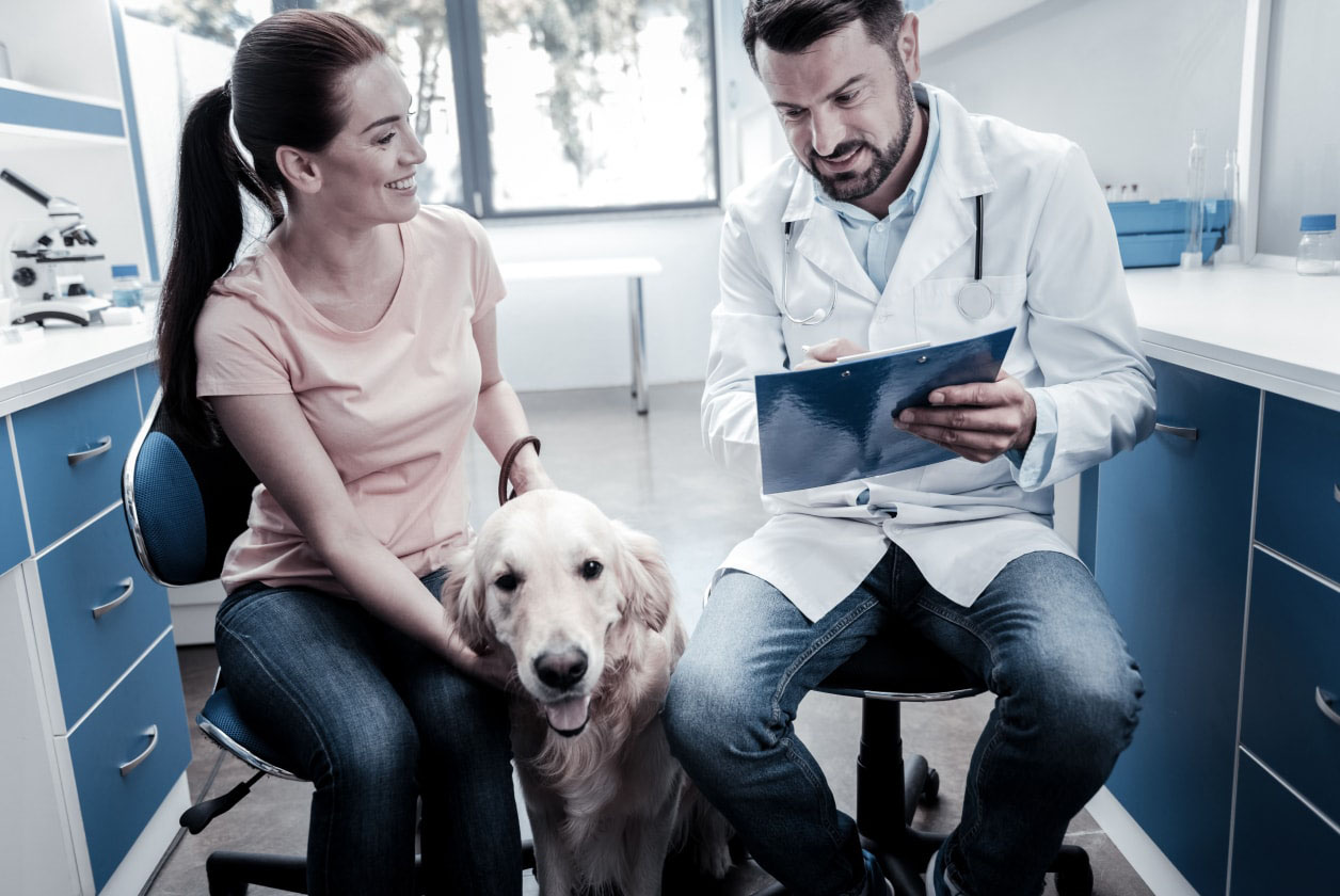 Referral Hospitals