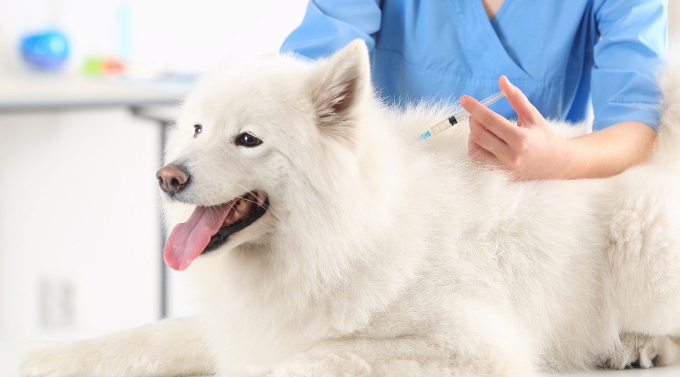 Vaccinations
