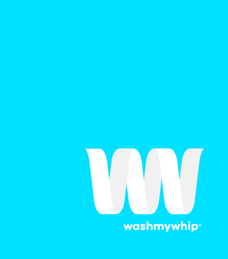 WashMyWhip Image